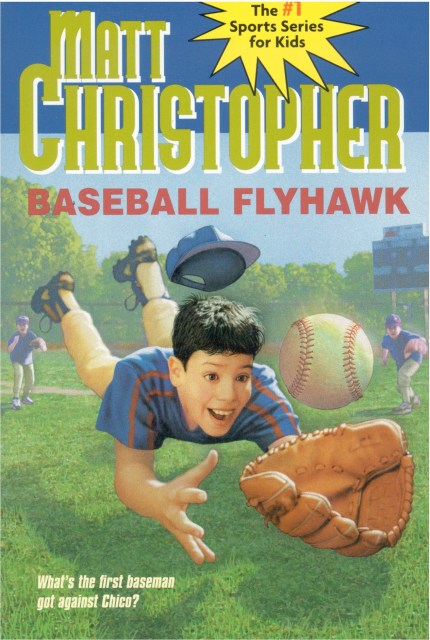 Baseball Flyhawk