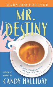 Mr. Destiny