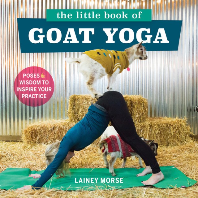 The Little Book of Goat Yoga