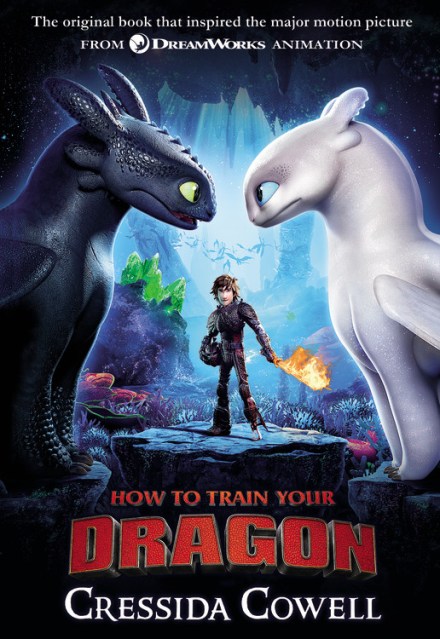 How to Train Your Dragon