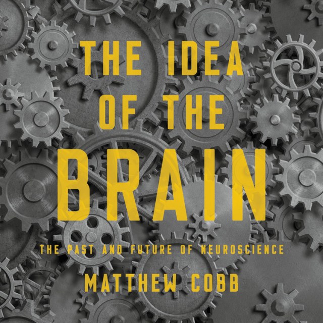 The Idea of the Brain