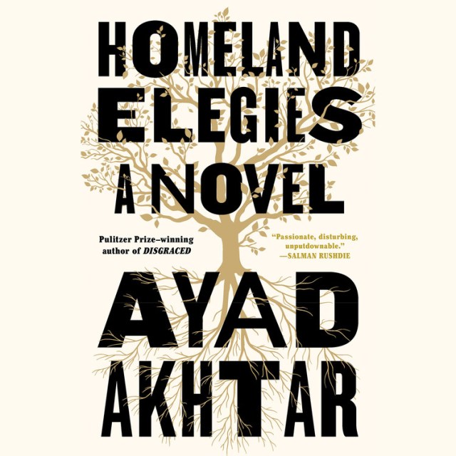 Homeland Elegies