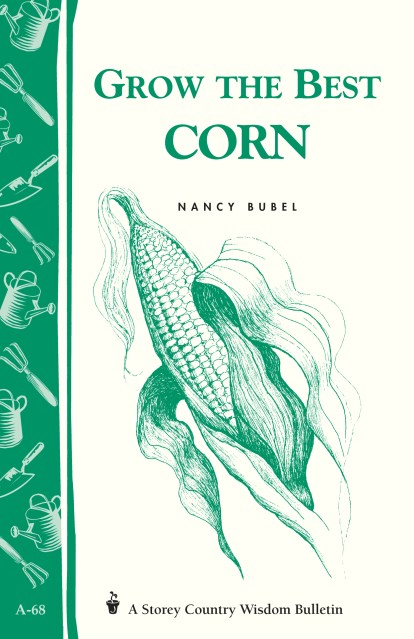 Grow the Best Corn