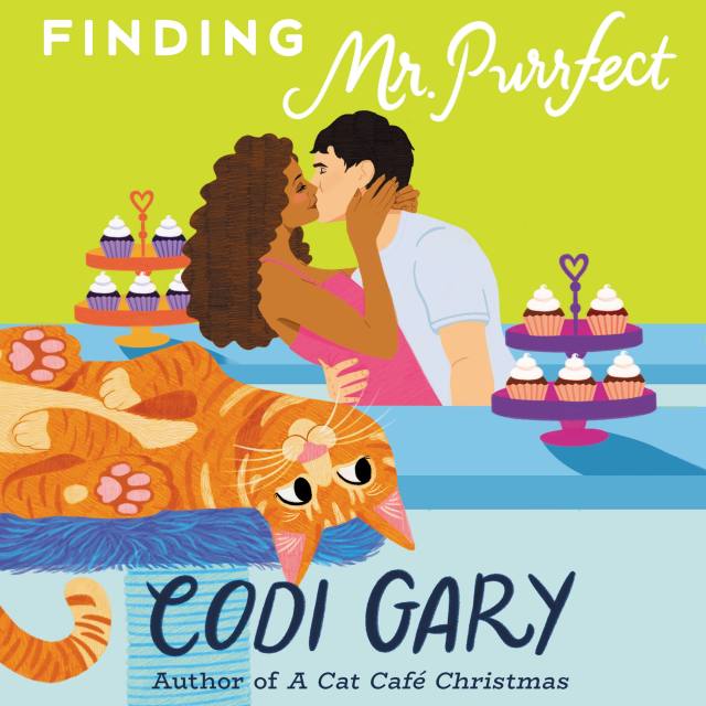 Finding Mr. Purrfect