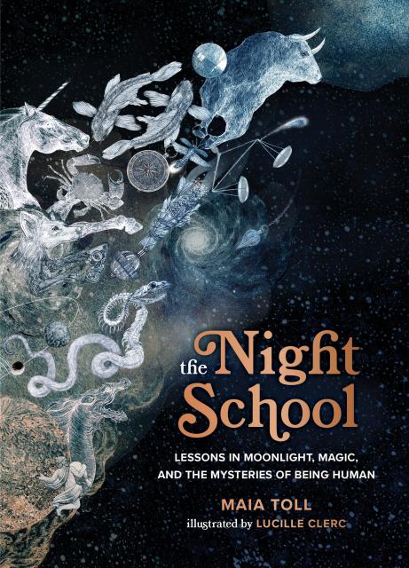 The Night School