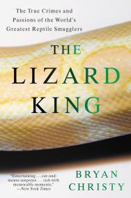 The Lizard King