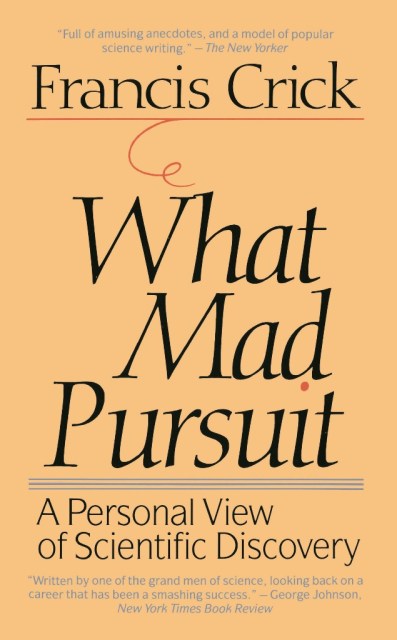 What Mad Pursuit