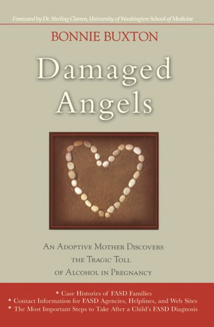 Damaged Angels