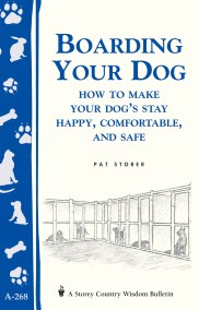 Boarding Your Dog: How to Make Your Dog’s Stay Happy, Comfortable, and Safe