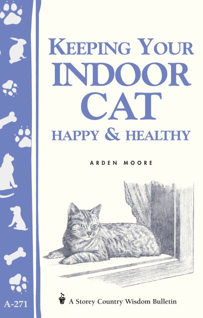 Keeping Your Indoor Cat Happy & Healthy