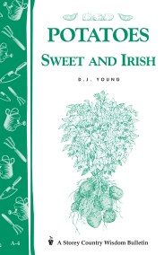 Potatoes, Sweet and Irish