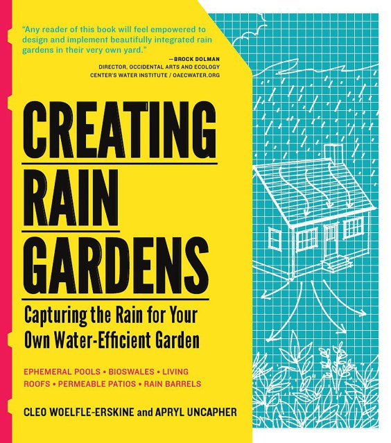 Creating Rain Gardens