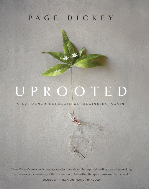 Uprooted