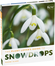 The Plant Lover's Guide to Snowdrops