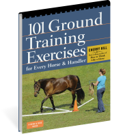 101 Ground Training Exercises for Every Horse & Handler