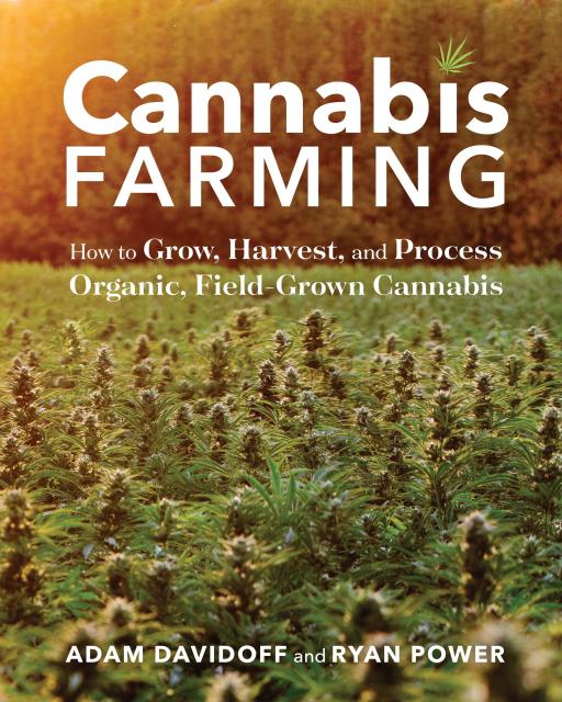 Cannabis Farming