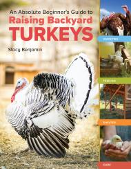 An Absolute Beginner’s Guide to Raising Backyard Turkeys