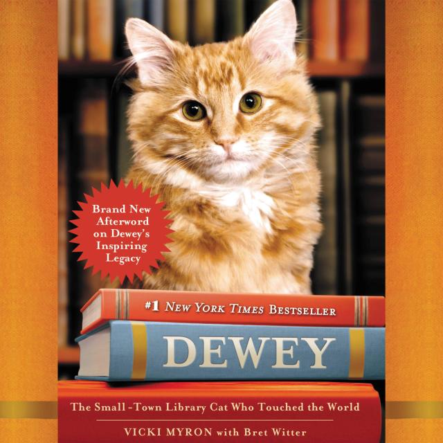 Dewey