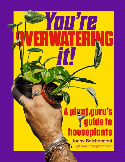 You’re Overwatering It!