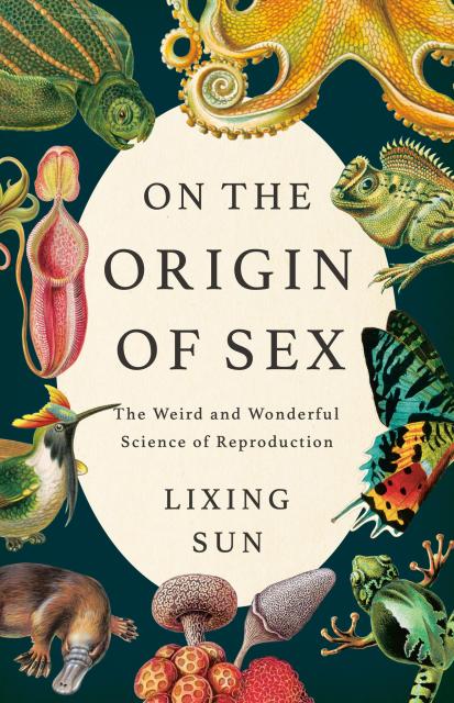 On the Origin of Sex