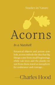 Acorns