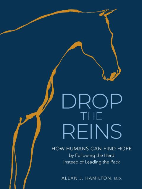 Drop the Reins